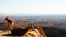 Sistan Balochestan