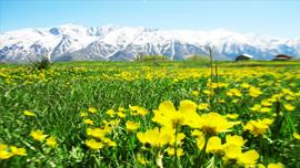 Ghazvin
