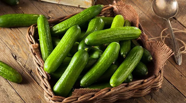 Persian Cucumbers